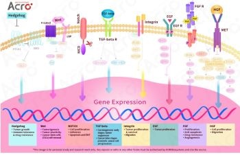 Targeting the tumor microenvironment (TME) pathways with ACROBio