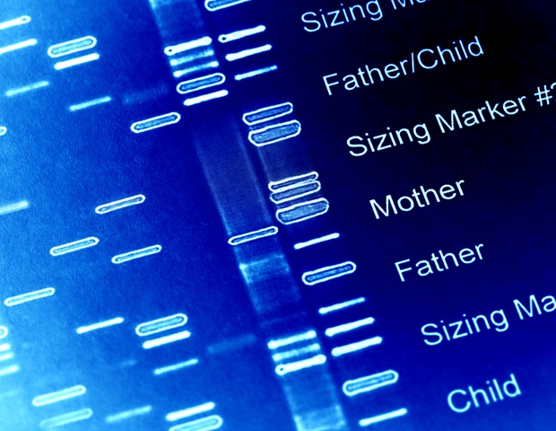 New genetic risk factors for Alzheimer’s disease unique to Ashkenazi Jews identified