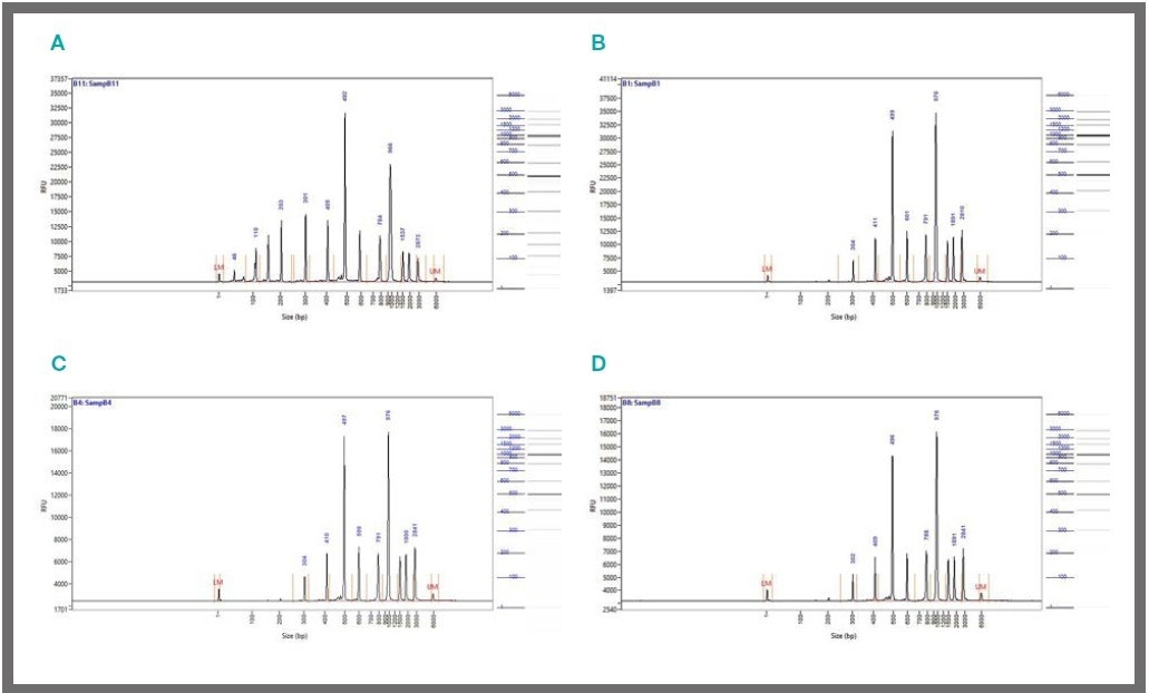 Exploring Miniaturised Magnetic Bead Cleanups on mosquito® HV genomics