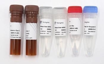 HiScript III U+ One step qRT-PCR probe kit for RNA based qPCR (Q225)