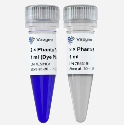 2 × Phanta Flash Master Mix  to perform hot start PCR (P510)