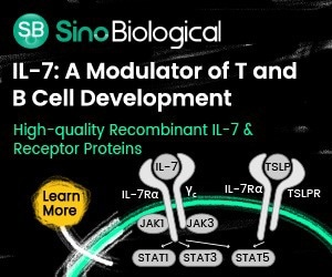 High-quality IL-7 cytokines and receptors for R&D