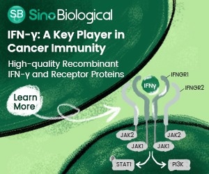 IFN-γ: A therapeutic target for cancer therapy