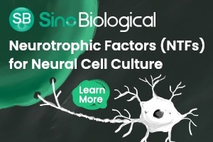 Reagents and therapeutic targets for neurodegenerative diseases