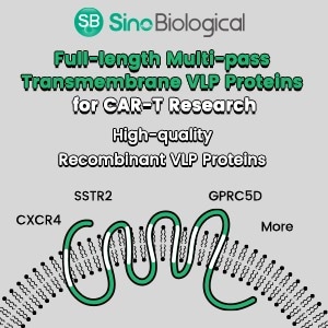 Multi-pass transmembrane virus-like particle (VLP) proteins