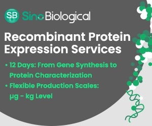 Recombinant protein expression