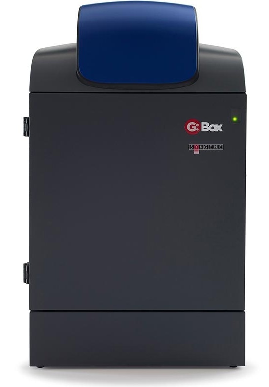 G:Box for walk away western blot imaging