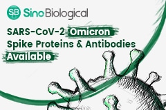 SARS-CoV-2 variants of concern: Recombinant spike proteins and more