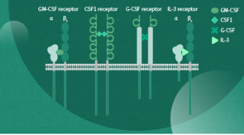 Colony stimulating factor family ligands and receptors for research