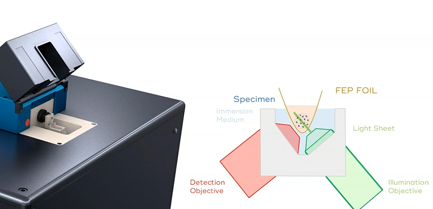 Light-Sheet Microscopy: A Gentle way to Image Live Samples